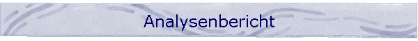 Analysenbericht